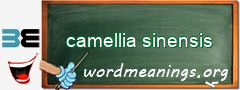 WordMeaning blackboard for camellia sinensis